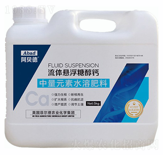 ���w�Ҹ��Ǵ��}-��ؐ��-�Ɲ��r��