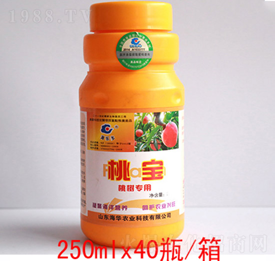 �Ҍ�-���A�r(n��ng)�I(y��)