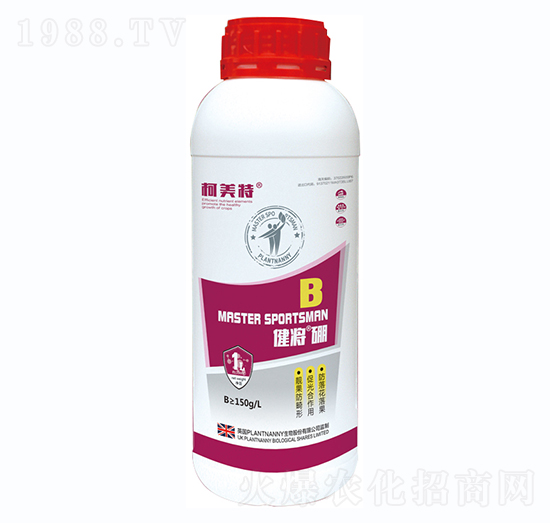 ��������-������