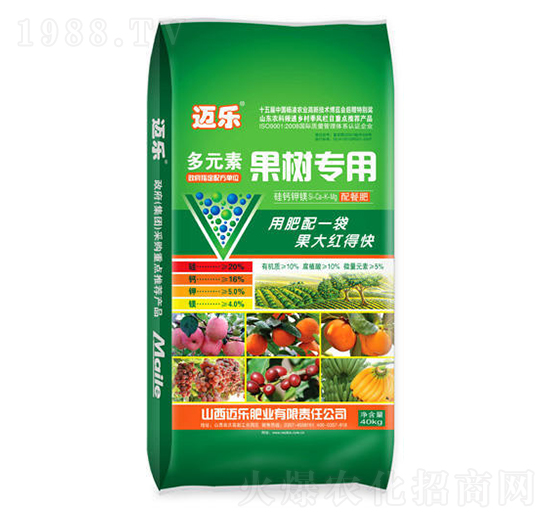 ��Ԫ�ع���(sh��)��(zhu��n)�÷�-�~��(l��)-�G��ɭ�r(n��ng)�I(y��)