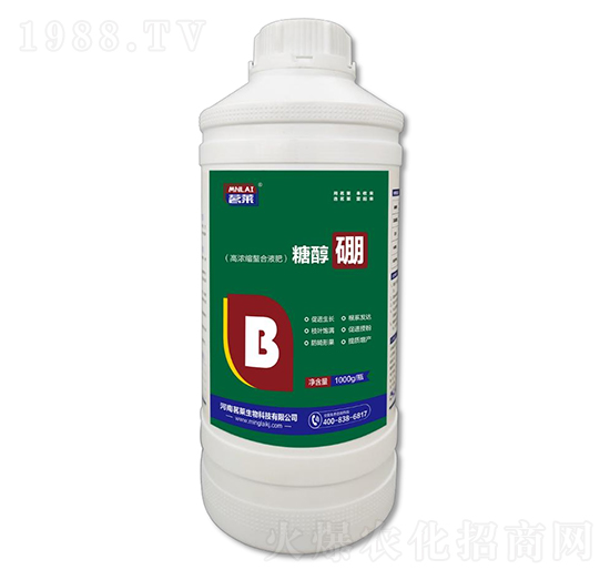 1000g�Ǵ���-���R