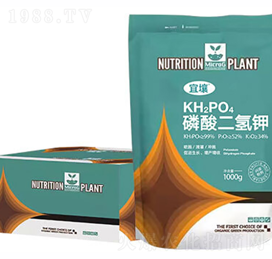 ��������-����-�t������