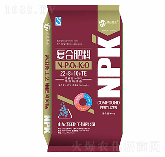 ����������ͺϷ���22-8-10+TE-�A͢����