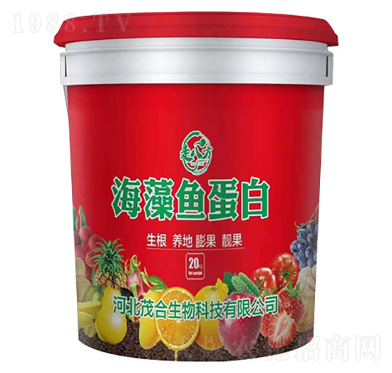 �����~����-�߰˷�-ï������