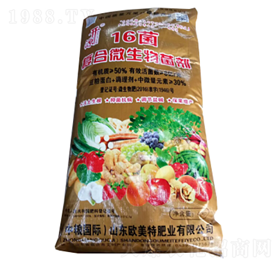 16����(f��)��΢�������-��������