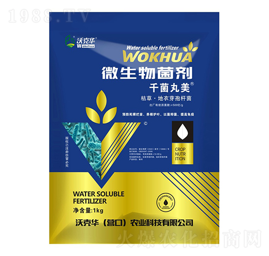 ΢�������-ǧ������-�ֿ��A