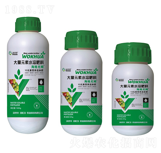 13Ԫ�ؠI�B(y��ng)���w��-�ֿ��A