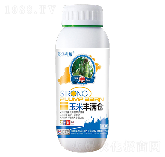 �����S�M�}-Ӣ�A����-��˴ֲ��