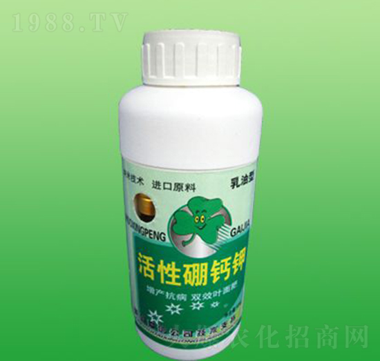 �������}�-ʩ����