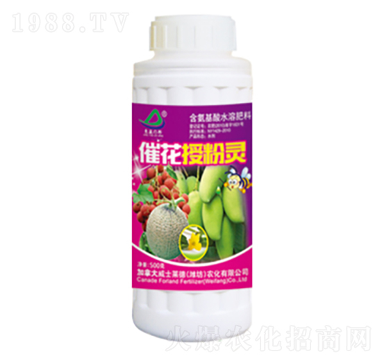 �߻��ڷ��`-�G��-��ʿ�R��