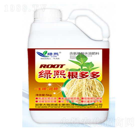 5kg�����-�G��-��ʿ�R��