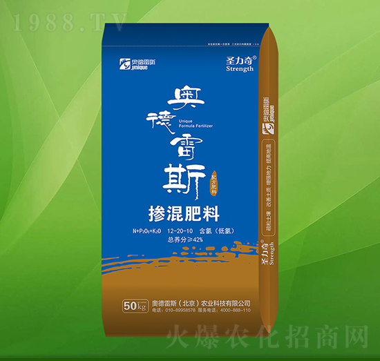 �������12-20-10-ʥ����-�W����˹