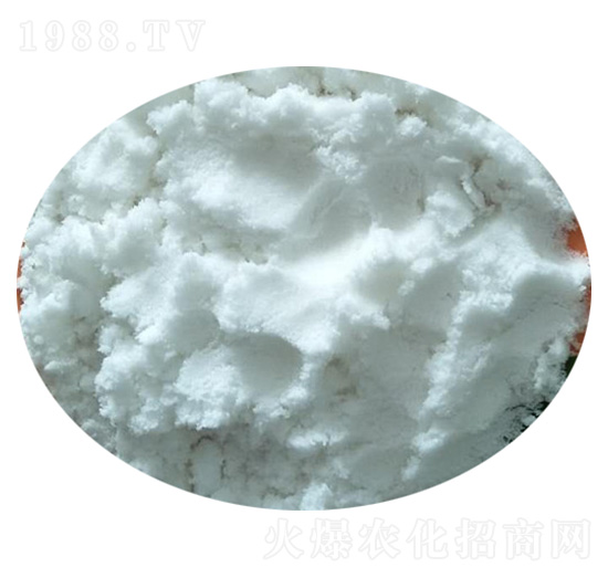 �����������@-��(sh��)�����B(t��i)