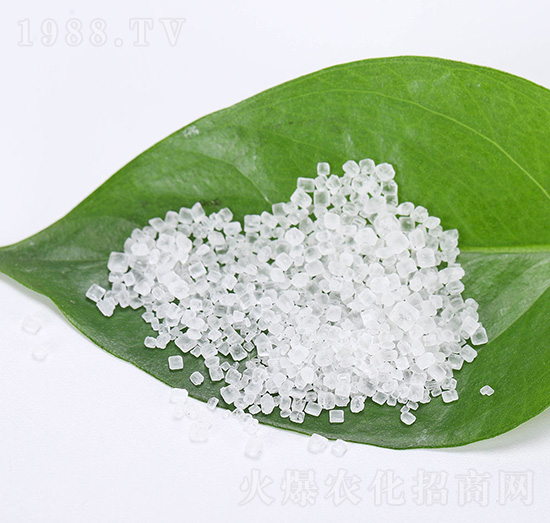 ����(n��i)���������@-��(sh��)�����B(t��i)