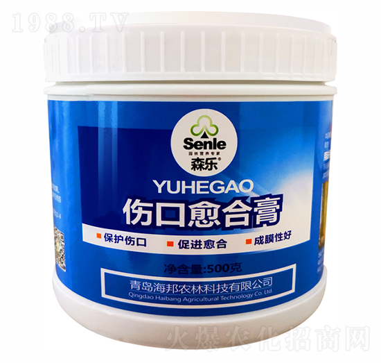 �������ϸ�-ɭ��-�����r(n��ng)��