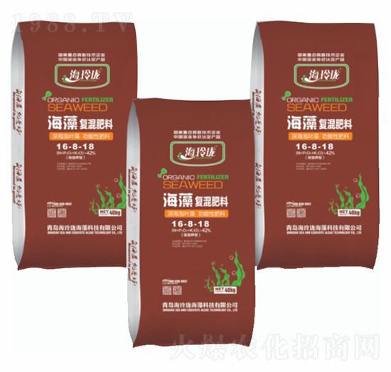 �����(f��)�����16-8-18-���ᭇ