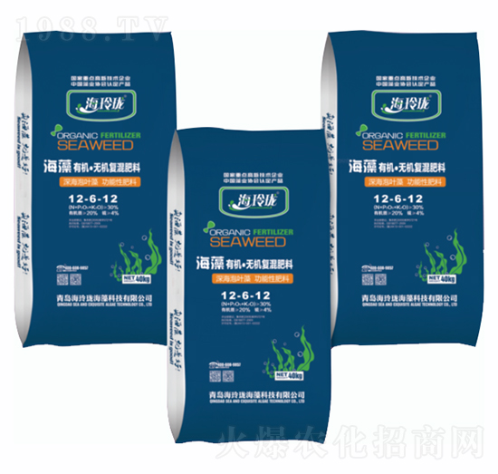 �����ЙC���o�C�ͻ����12-6-12-���ᭇ