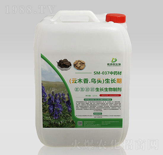 SM-037��ˎ����ľ����^���L�����L�����Ƅ�-�ΰ�������