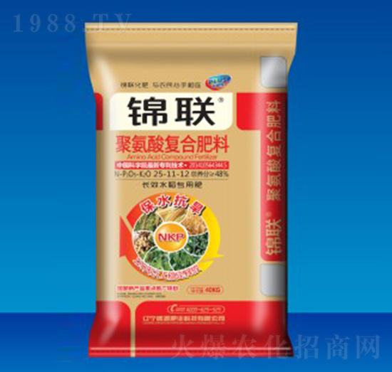 �۰����(f��)�Ϸ���25-11-12-�\(li��n)-ʢԴ�ʘI(y��)