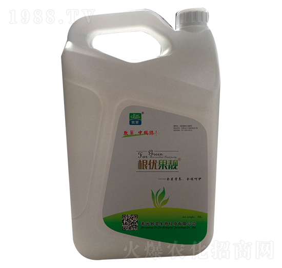 ����(y��u)���n-�´�����