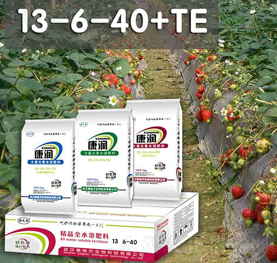 ����(r��n)����Ԫ��ˮ�ܷ�13-6-40+TE-ِ��