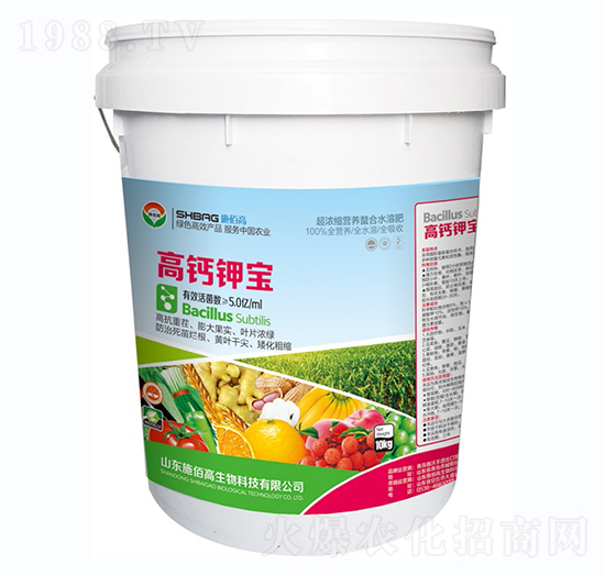 ���}⛌�-ʩ�۸�