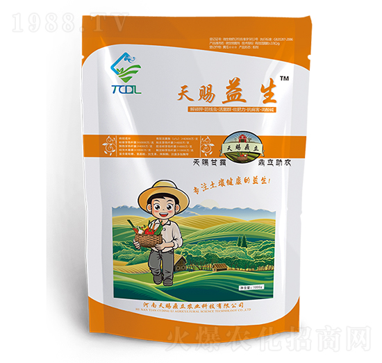 ���n����-���n����