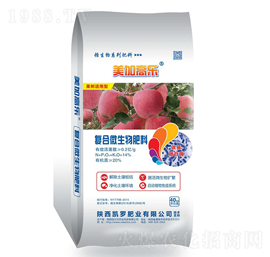 �ͺ�΢�������-���Ӹߘ�-�P�_�ʘI(y��)