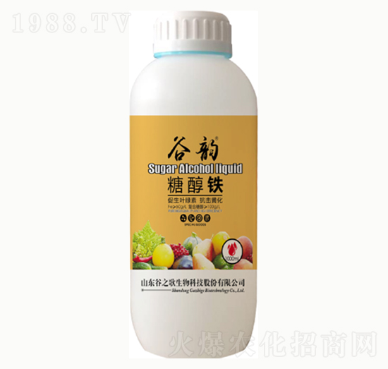 �Ǵ��F-���-��֮��