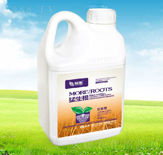 ������-������