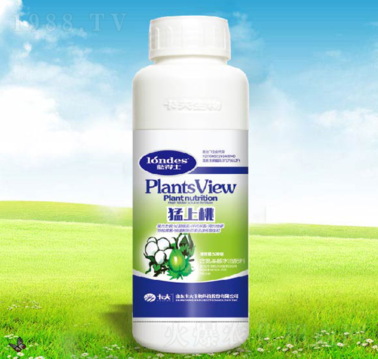 ������-������