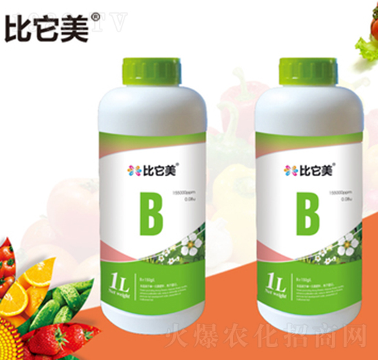 ���������-���{(l��n)�r(n��ng)��