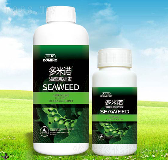 ���������-�����Z-����