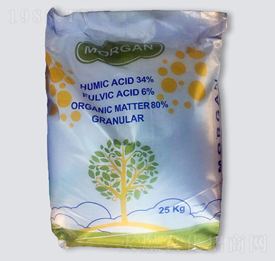 Morgan ��ֳ���w������-�ָ���