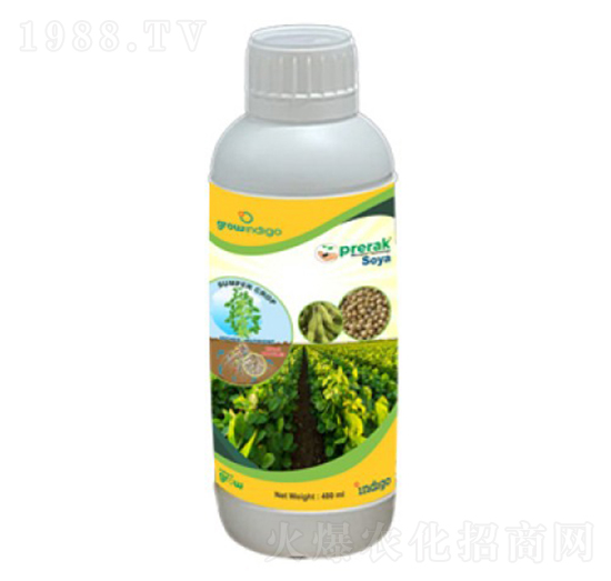 Prerak Soya-�ָ���