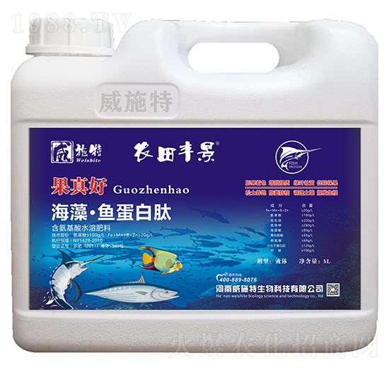 ���塤�~������-�����-��ʩ��