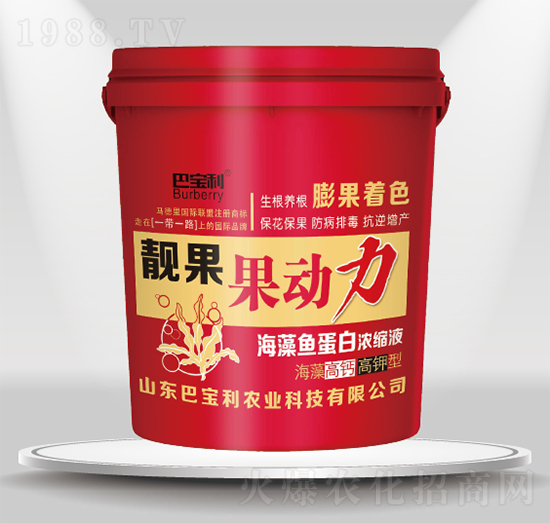 ������}������n��-������-�͌����r(n��ng)