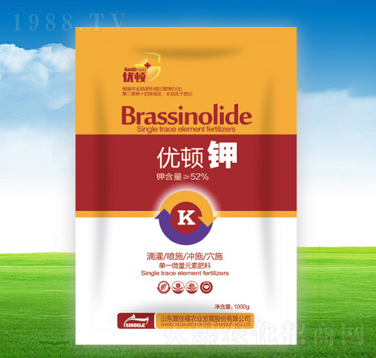 ��(y��u)�D�-�μѸ�