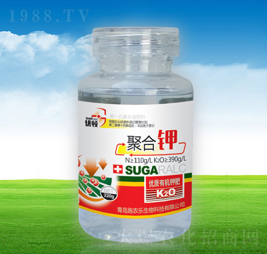 �ۺ��-�μѸ�