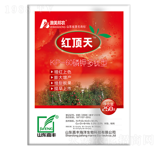 ��⛶�����-�t���-���S