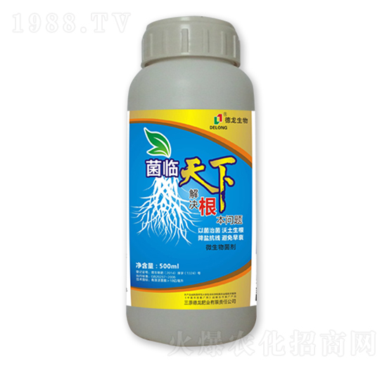 ΢�������-���R����-��������