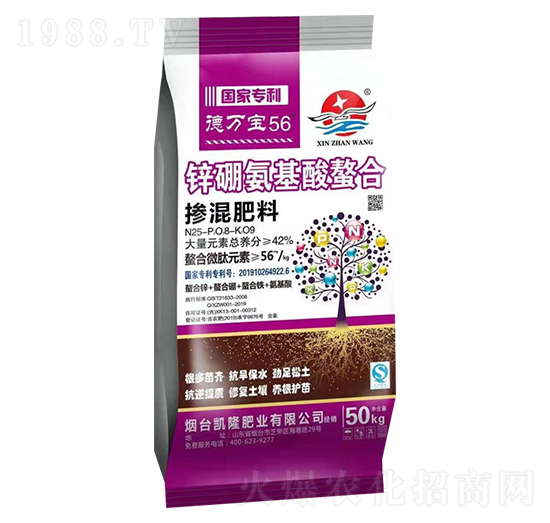 �������25-8-9-���f(w��n)��56-��չ��