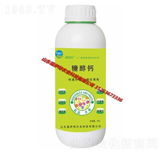 �Ǵ��}-������-������