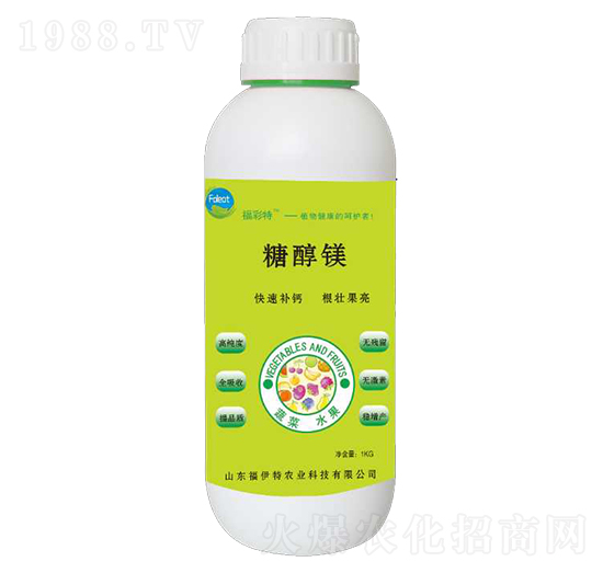 �Ǵ��V-������-������