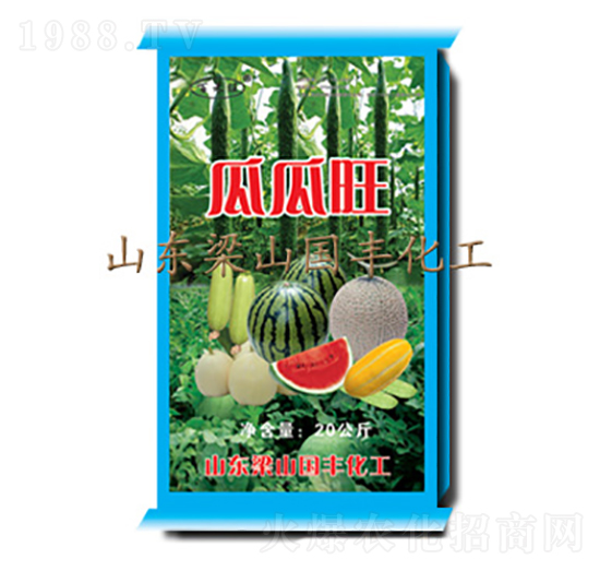 �Ϲ���-���S�ʘI(y��)