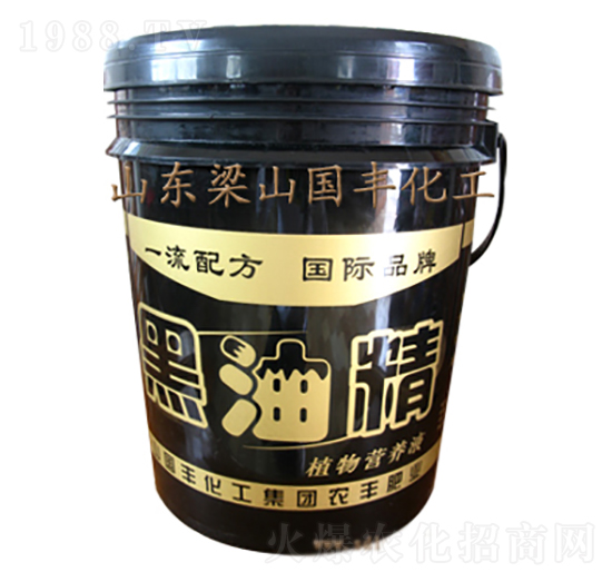 ���;�-���S�ʘI(y��)