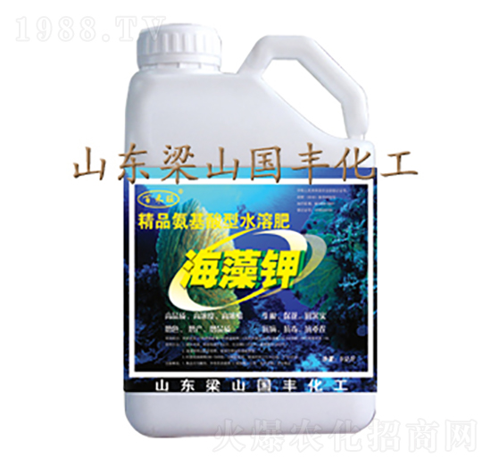 5kg�����-���S�ʘI(y��)