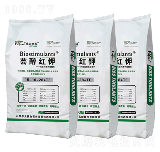 �|���t�-��Ԫ