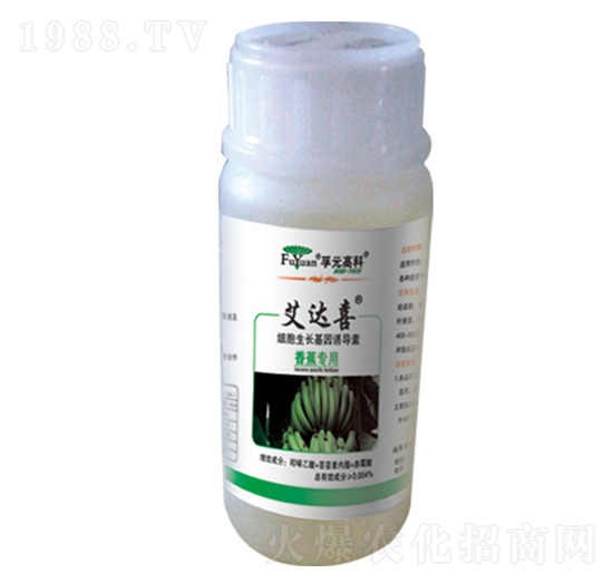 �㽶����-���_(d��)ϲ-��Ԫ