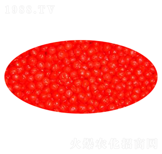 ��֬��������-�W�¸�